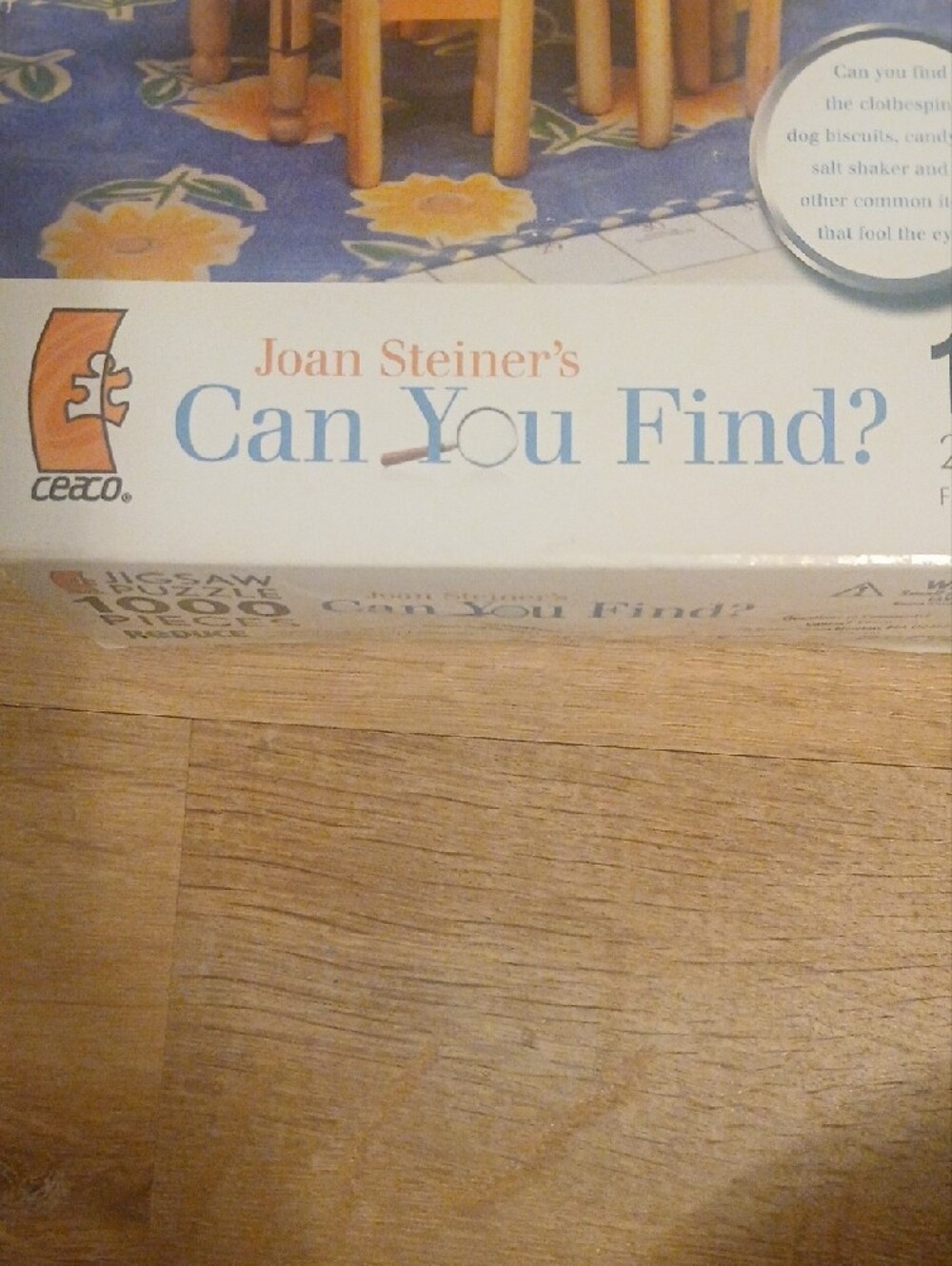 Joan Steiner Can You Find? 1000-Piece Puzzle - Picture 2 of 5